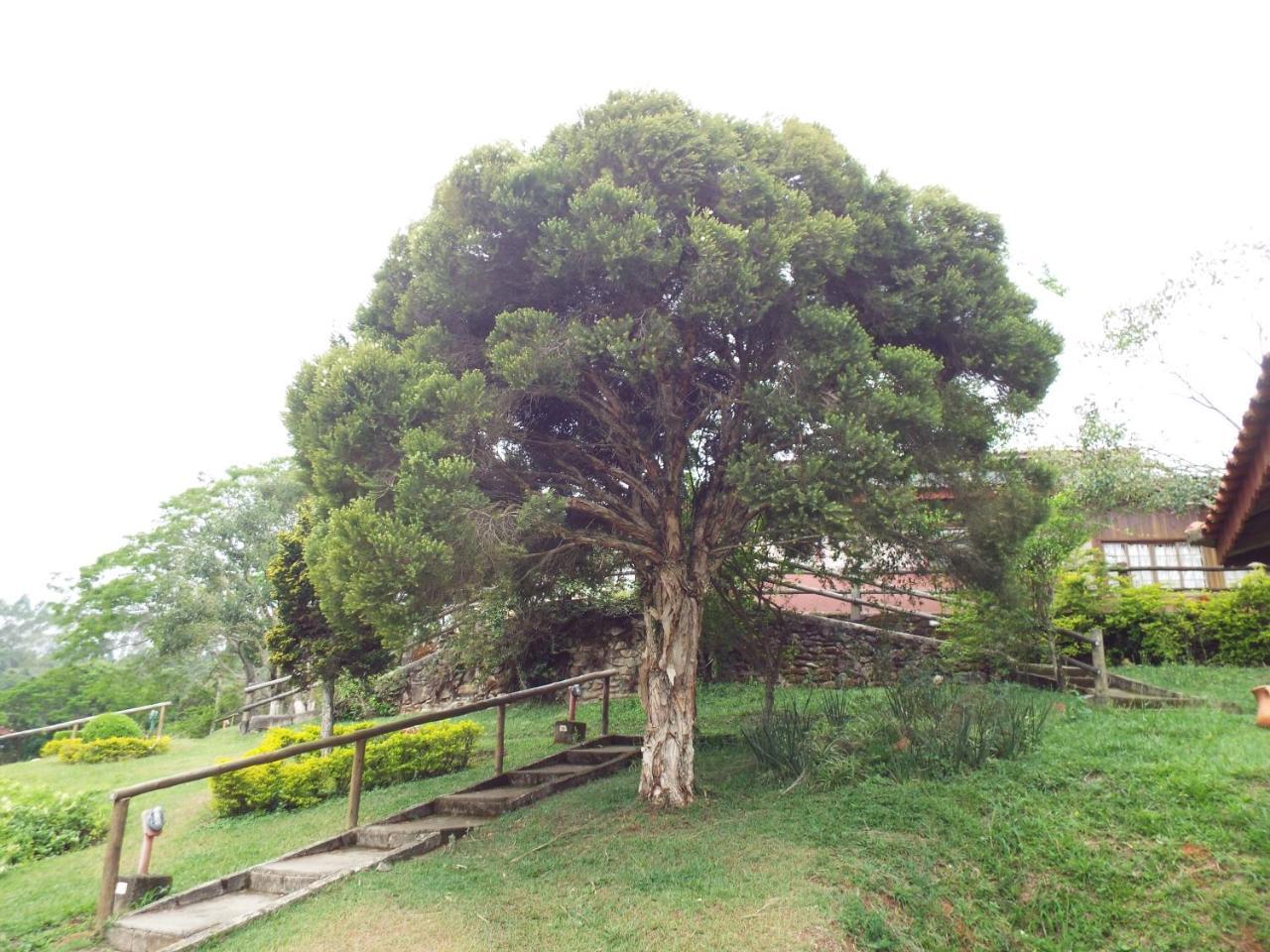 Estrela Da Serra Hotel Fazenda 에스타두 지 상파울루 외부 사진